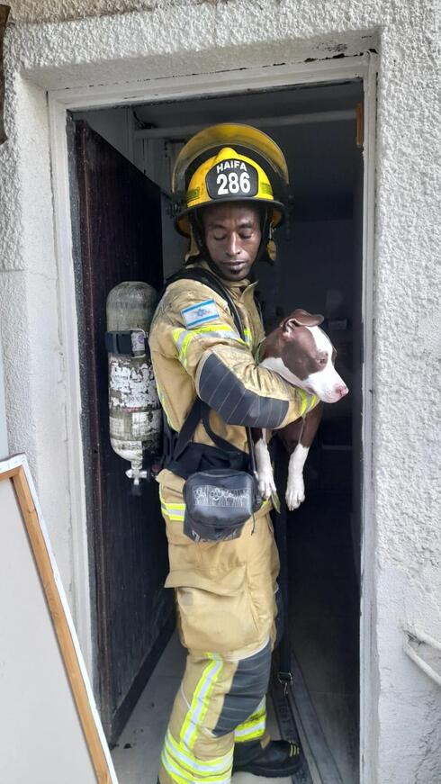חילוץ כלב מהבית השרוף