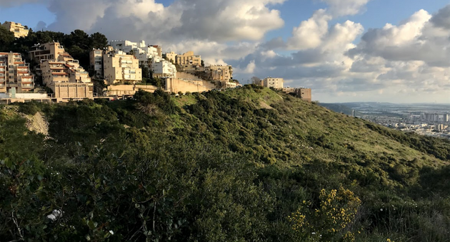 מאיפה יעבור הכביש של רחוב הרופא?