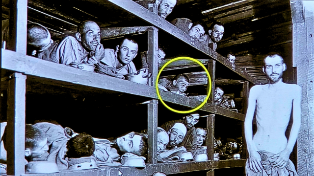 פתלי פירסט שוכב על הדרגש השלישי, בצריף 56, בצילום שבוצע 4 ימים אחרי השחרור של מחנה בוכנוולד על ידי החיילים האמריקאים.